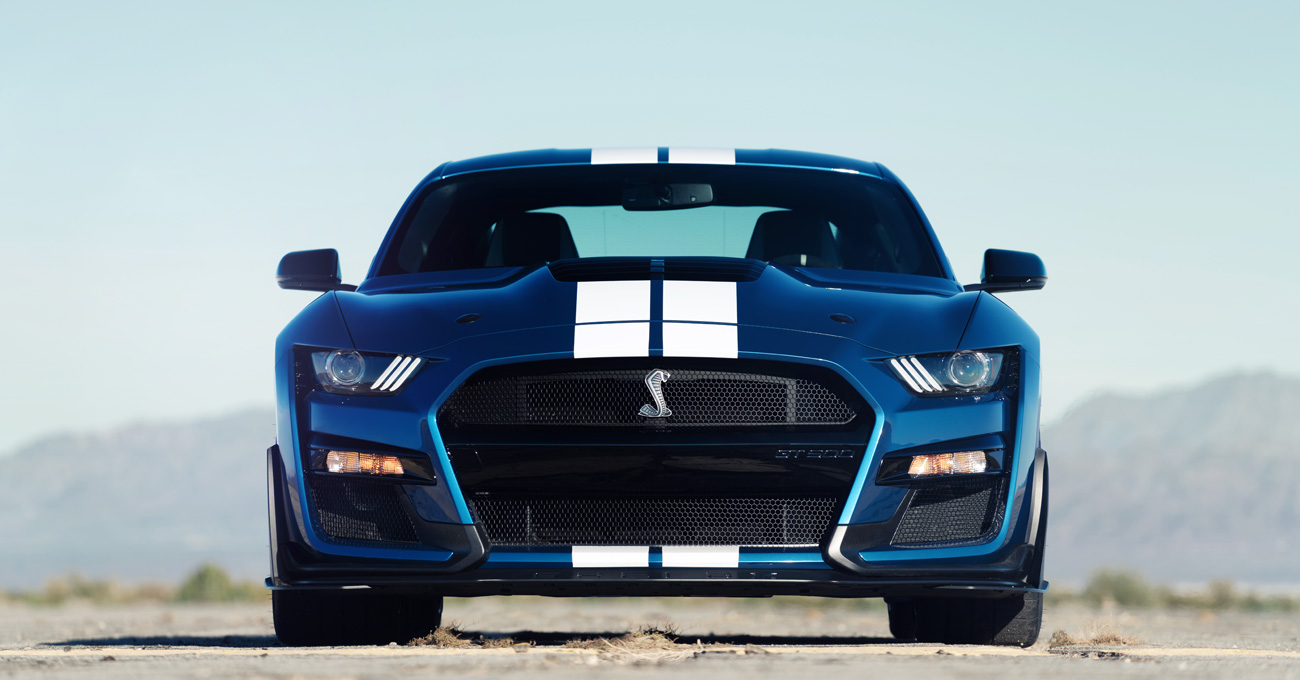 immagini mustang