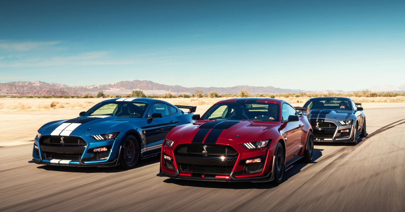 immagini mustang