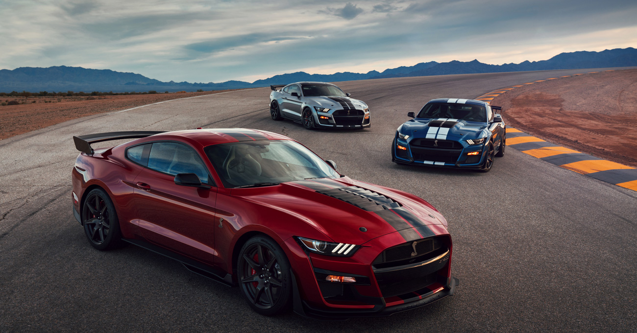 immagini mustang
