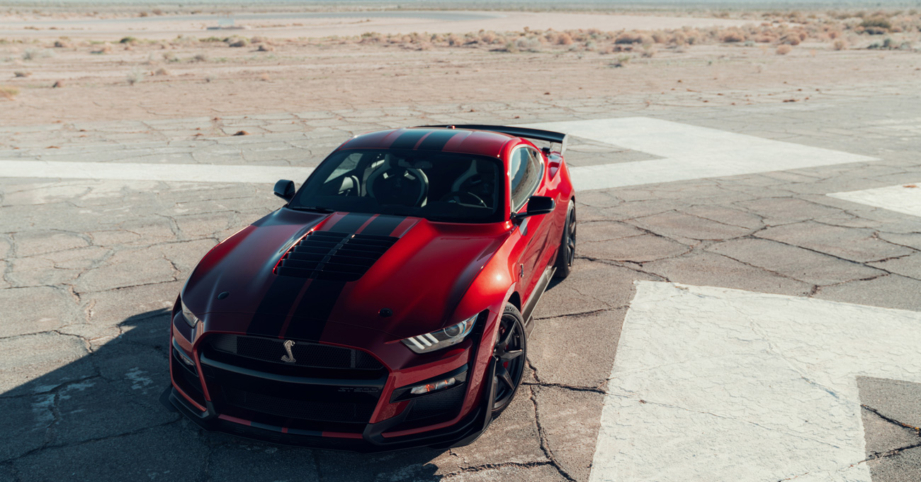 immagini mustang