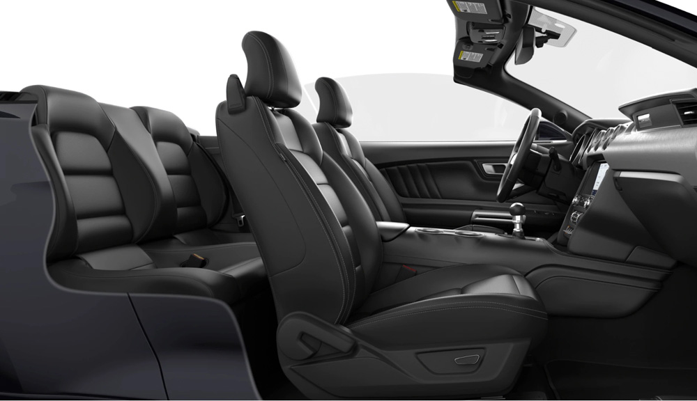 LEATHER EBONY_Ecoboost Convertibile Premium MY2020