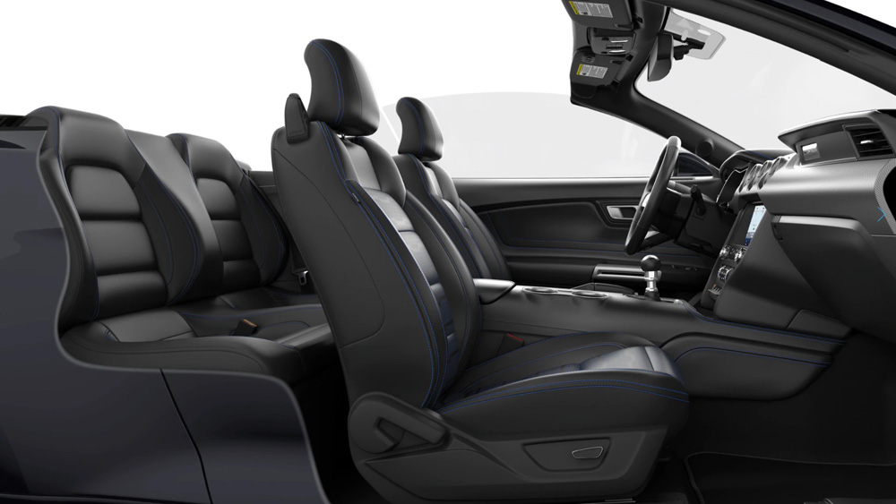 PREMIER LEATHER EBONY_Ecoboost Convertibile  Premium MY2020